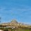 Morella
