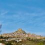 Morella